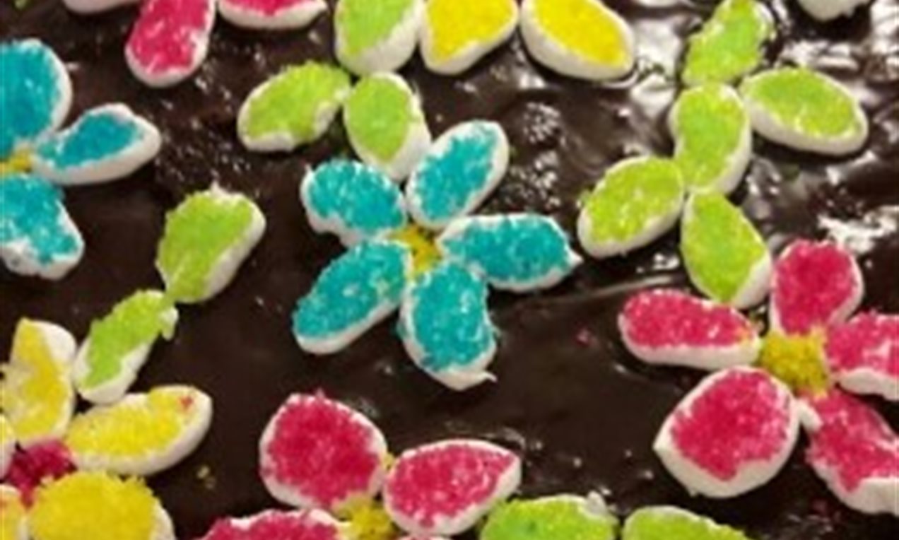 Picture - 2017.02.15 Liv sin sjokoladekake med Neon II - utsnitt.jpg